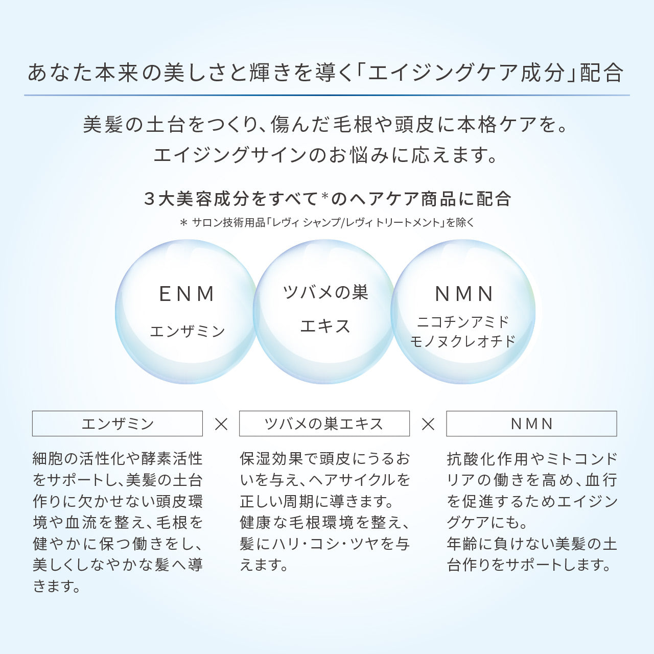 【新作】レヴィ スカルプエッセンス