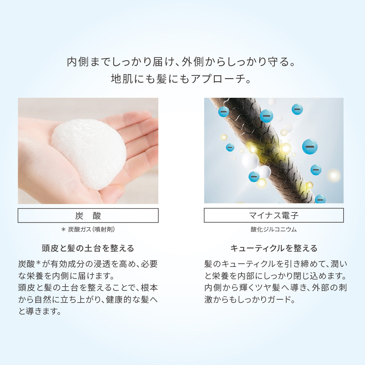 【新作】レヴィ スカルプエッセンス