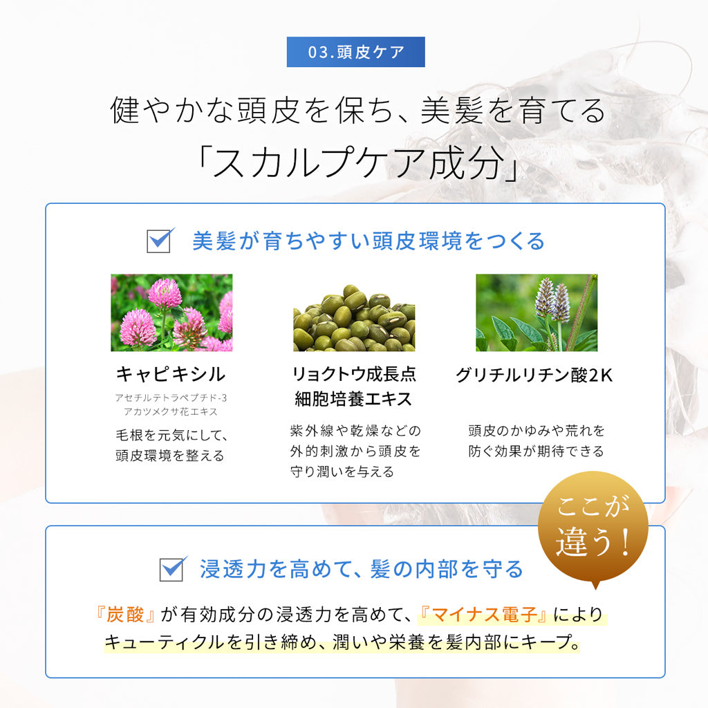 【新作】レヴィ モイストバブルシャンプー(250g)