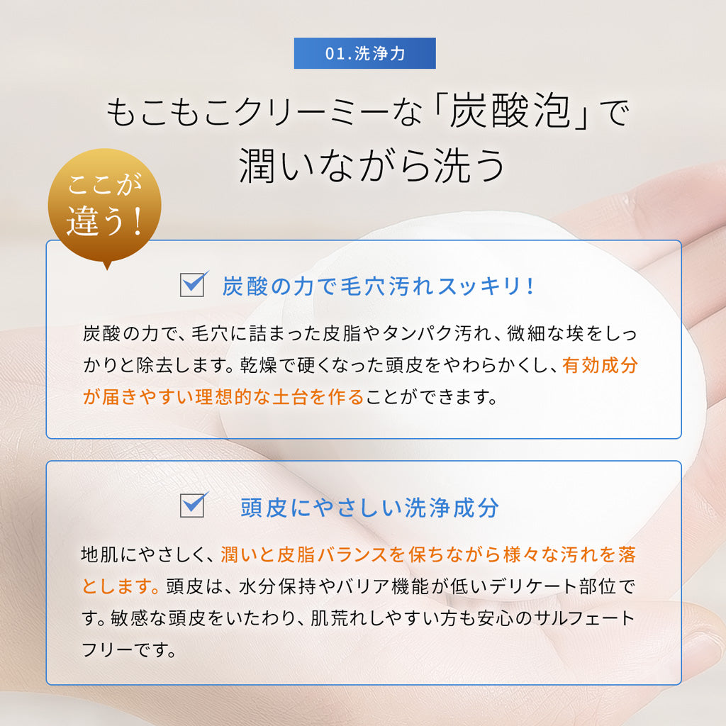 【新作】レヴィ モイストバブルシャンプー(250g)