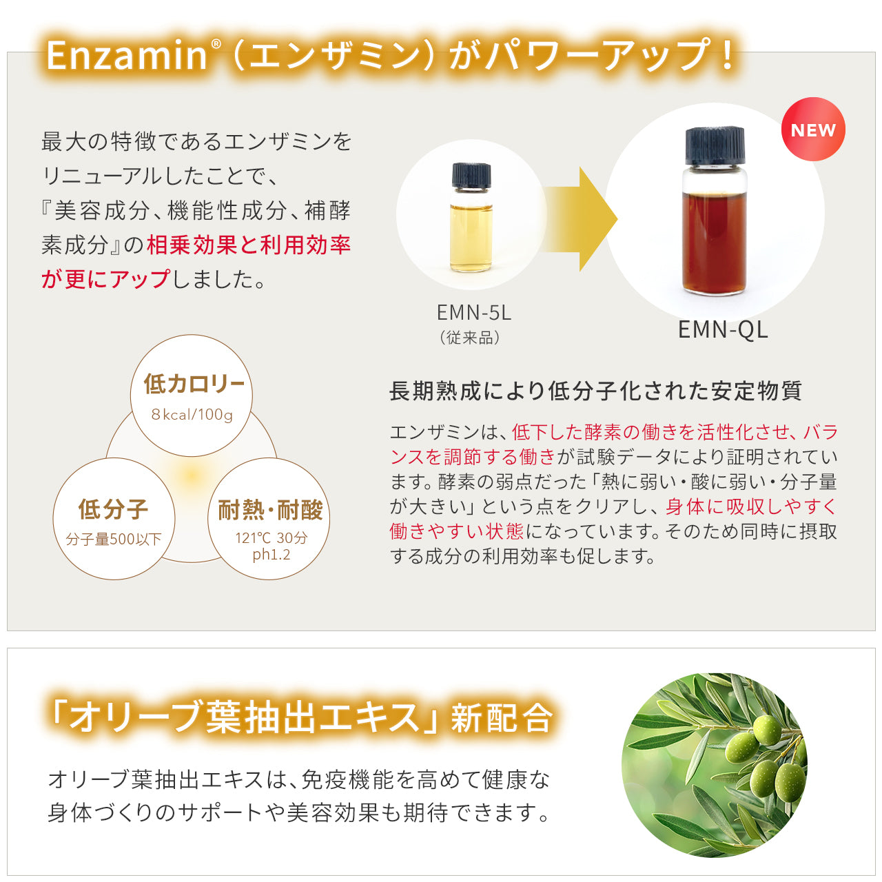 レヴィ インナーエステメルモ(10本入り)