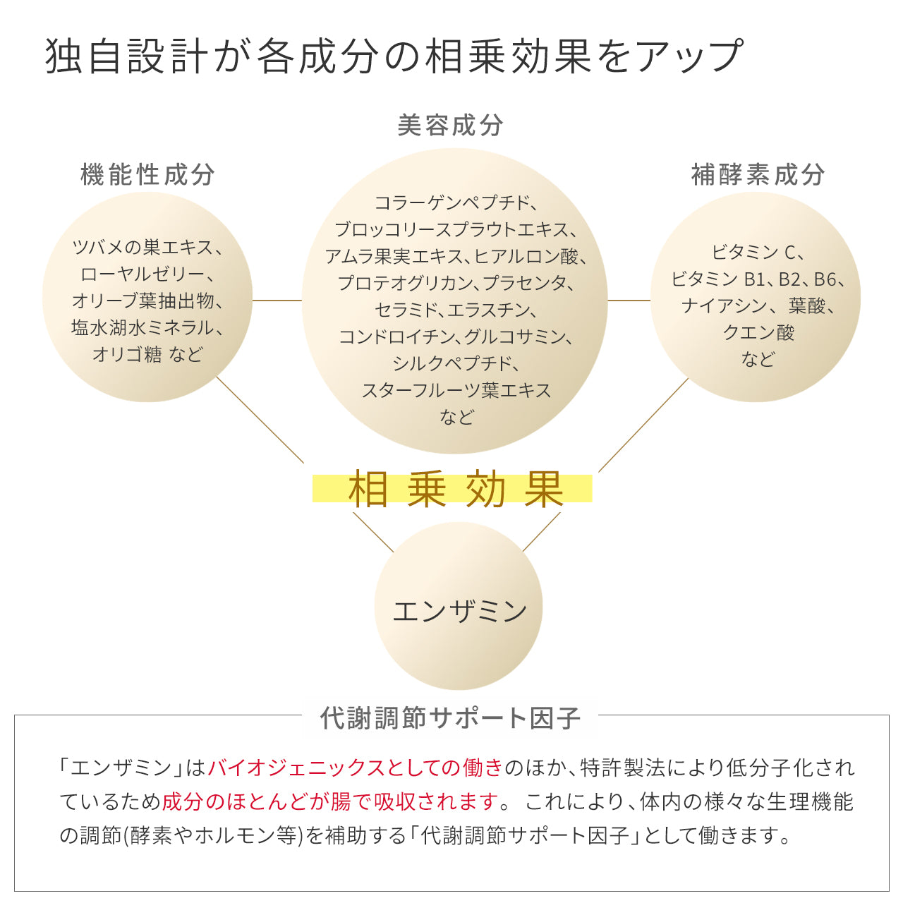 レヴィ インナーエステメルモ(10本入り)