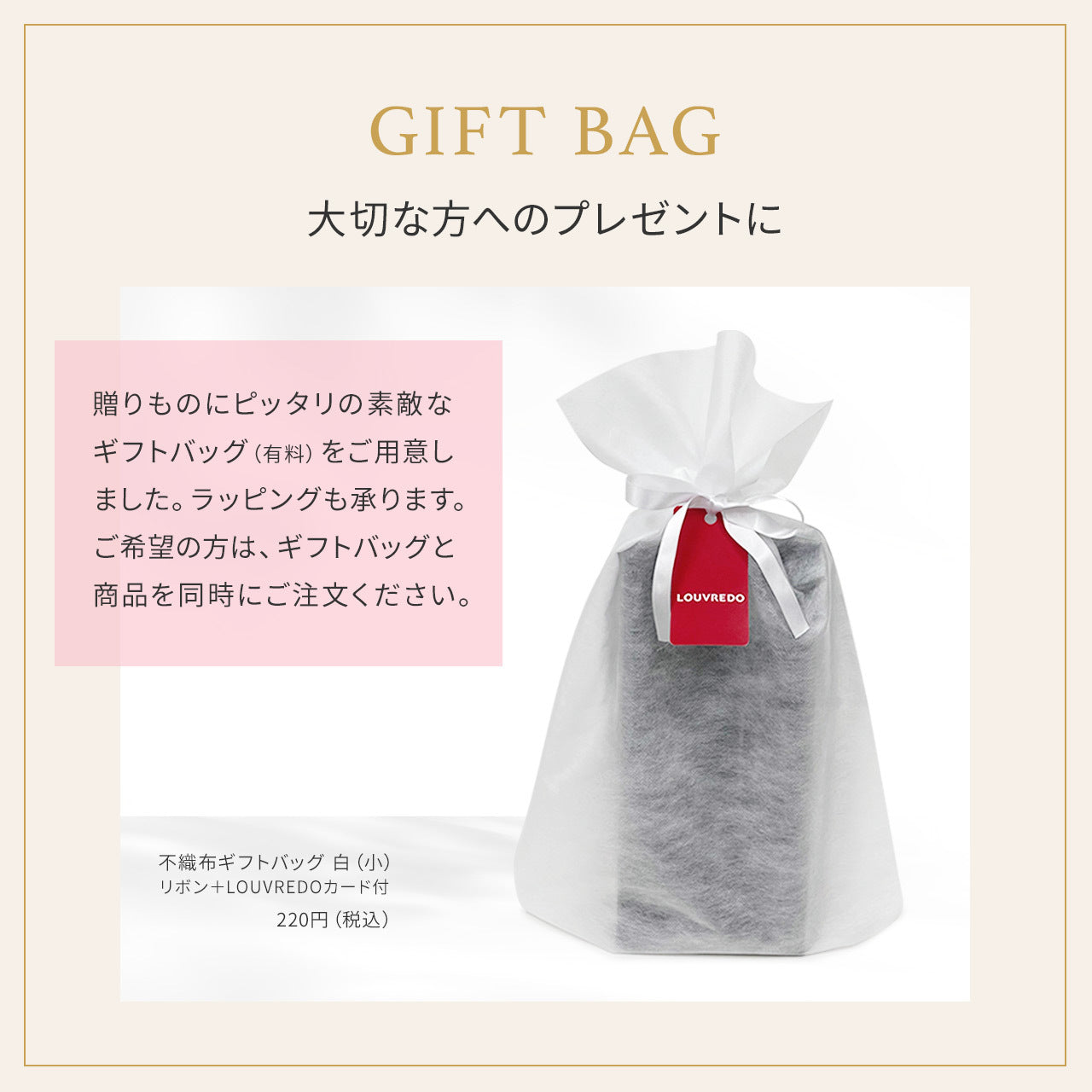 【予約】【新作】レヴィ パドルブラシ(2026年1月発送)