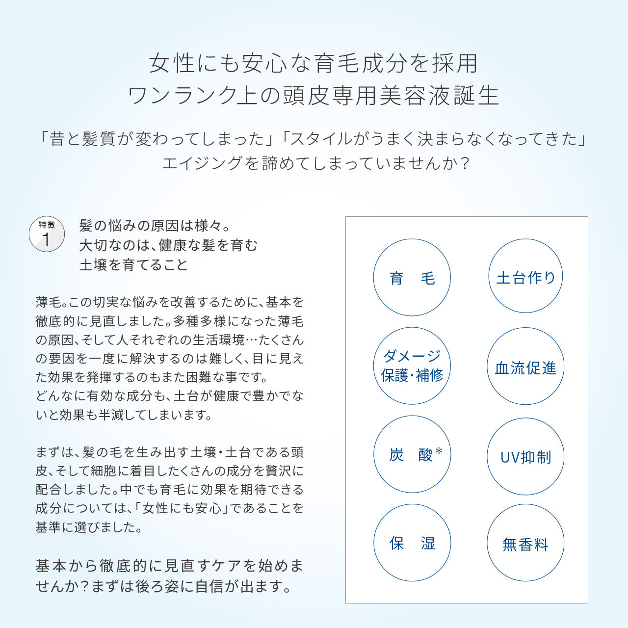 【新作】レヴィ スカルプエッセンス