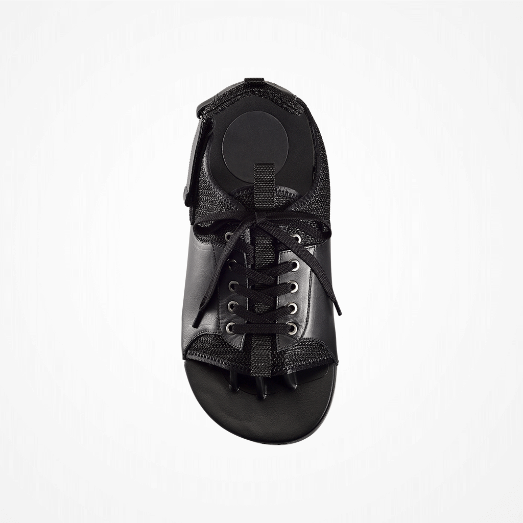 上から見たボディバランス