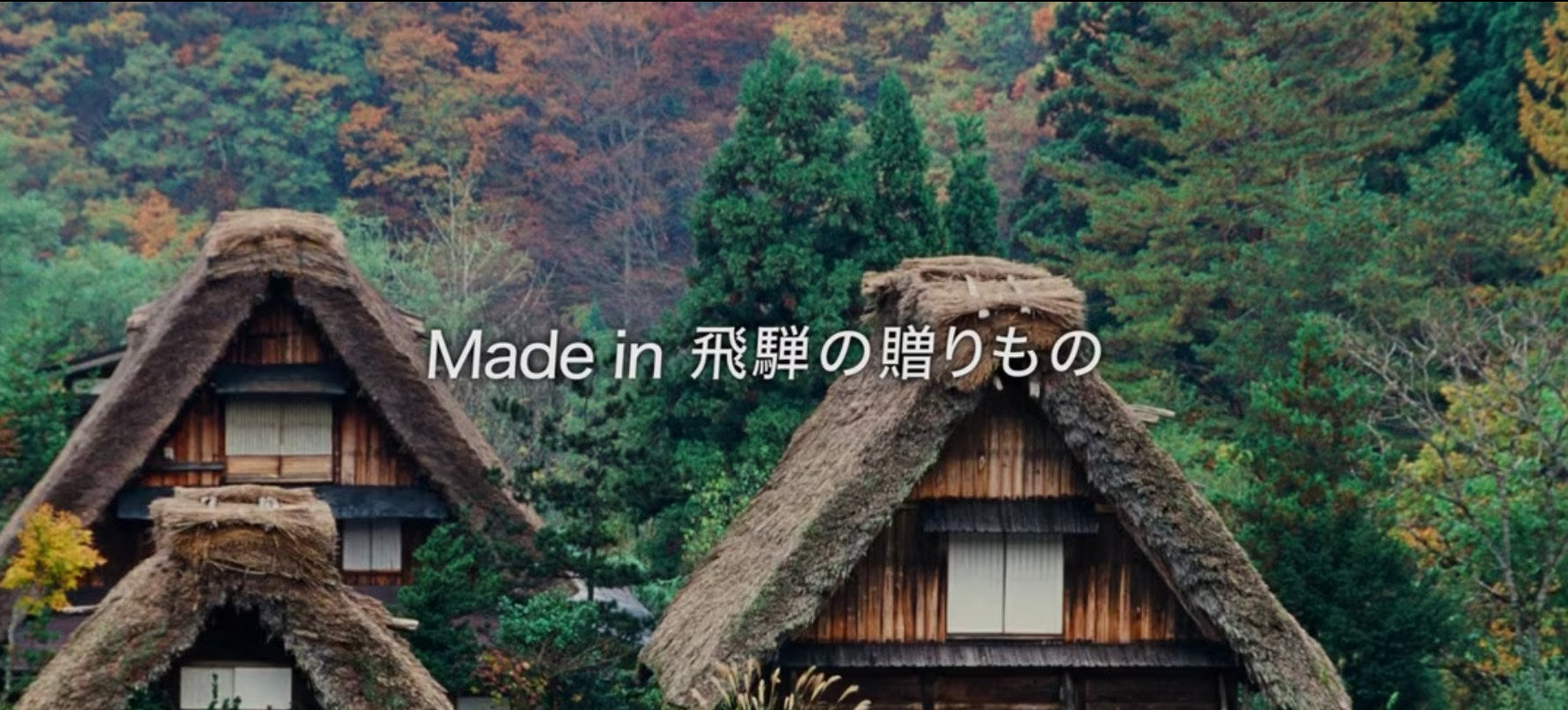 動画を読み込む: 