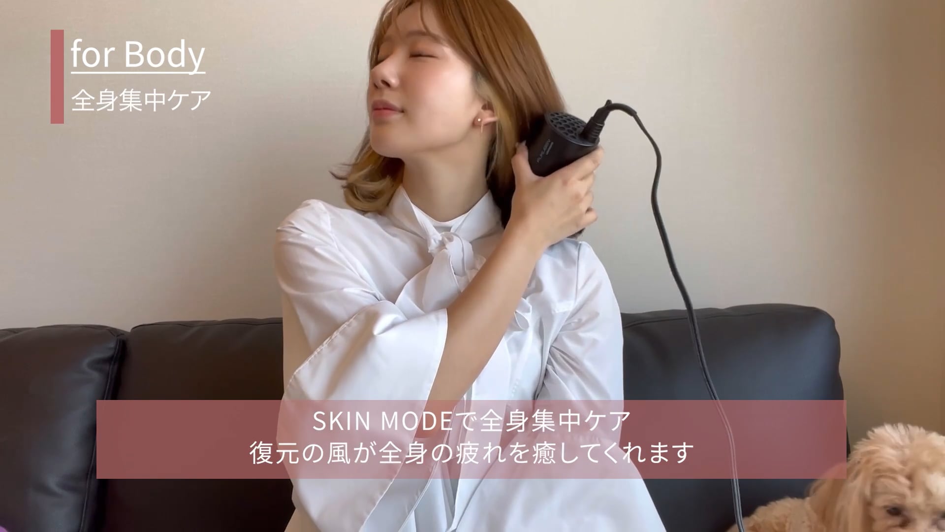 動画を読み込む: 