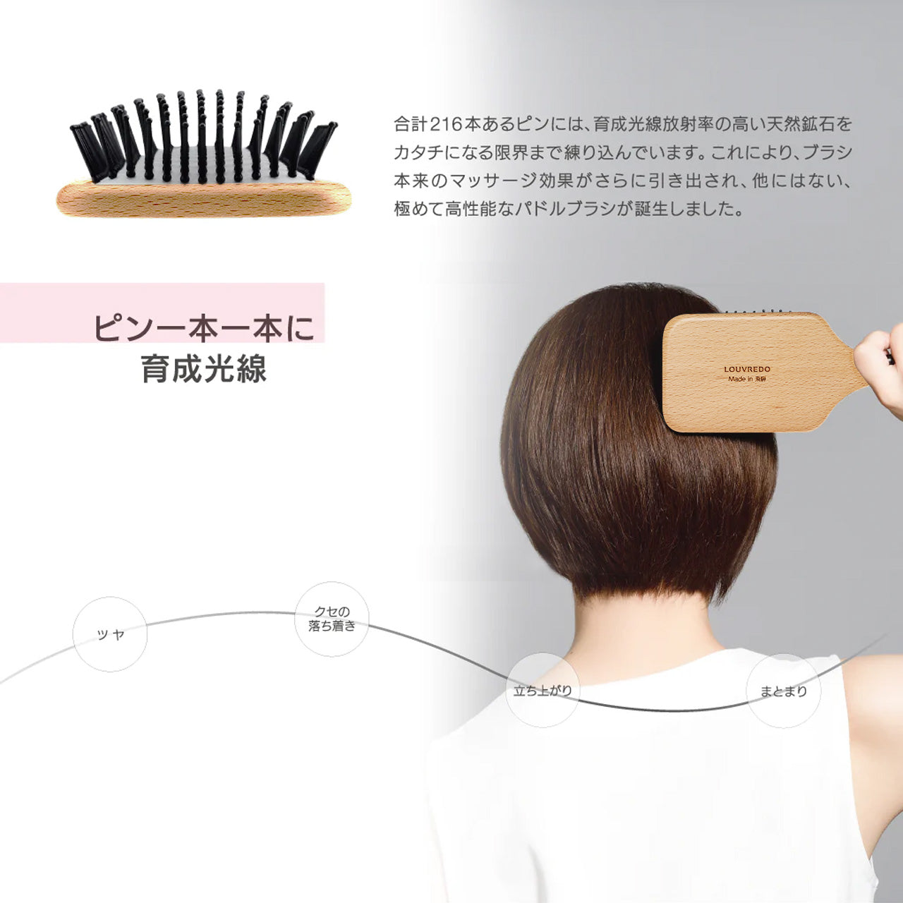 【予約】【新作】レヴィ パドルブラシ（2026年1月発送）