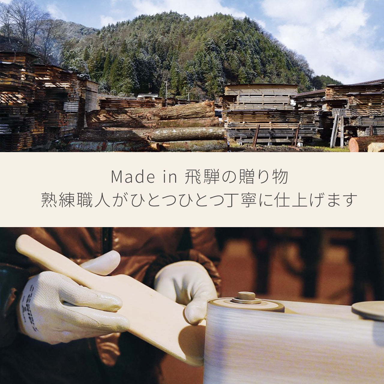 【予約】【新作】レヴィ パドルブラシ（2026年1月発送）