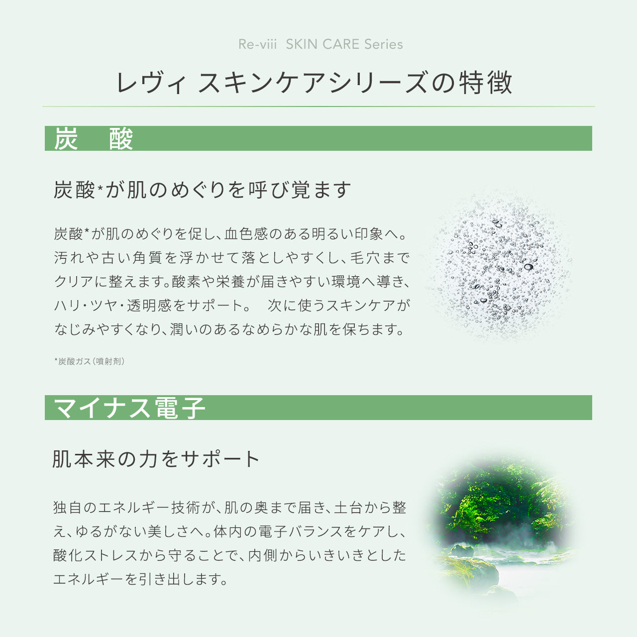 【新作】レヴィ 洗顔フォーム